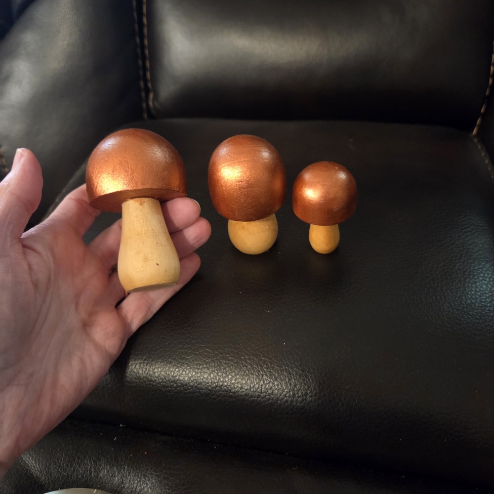Set of 3 Handcarved Wood Mushrooms 1