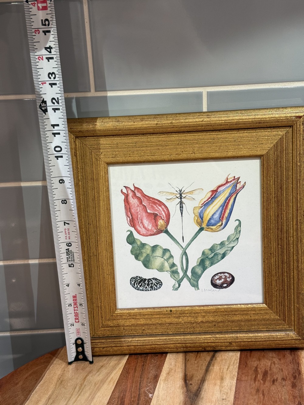 Vintage Framed Botanical Print