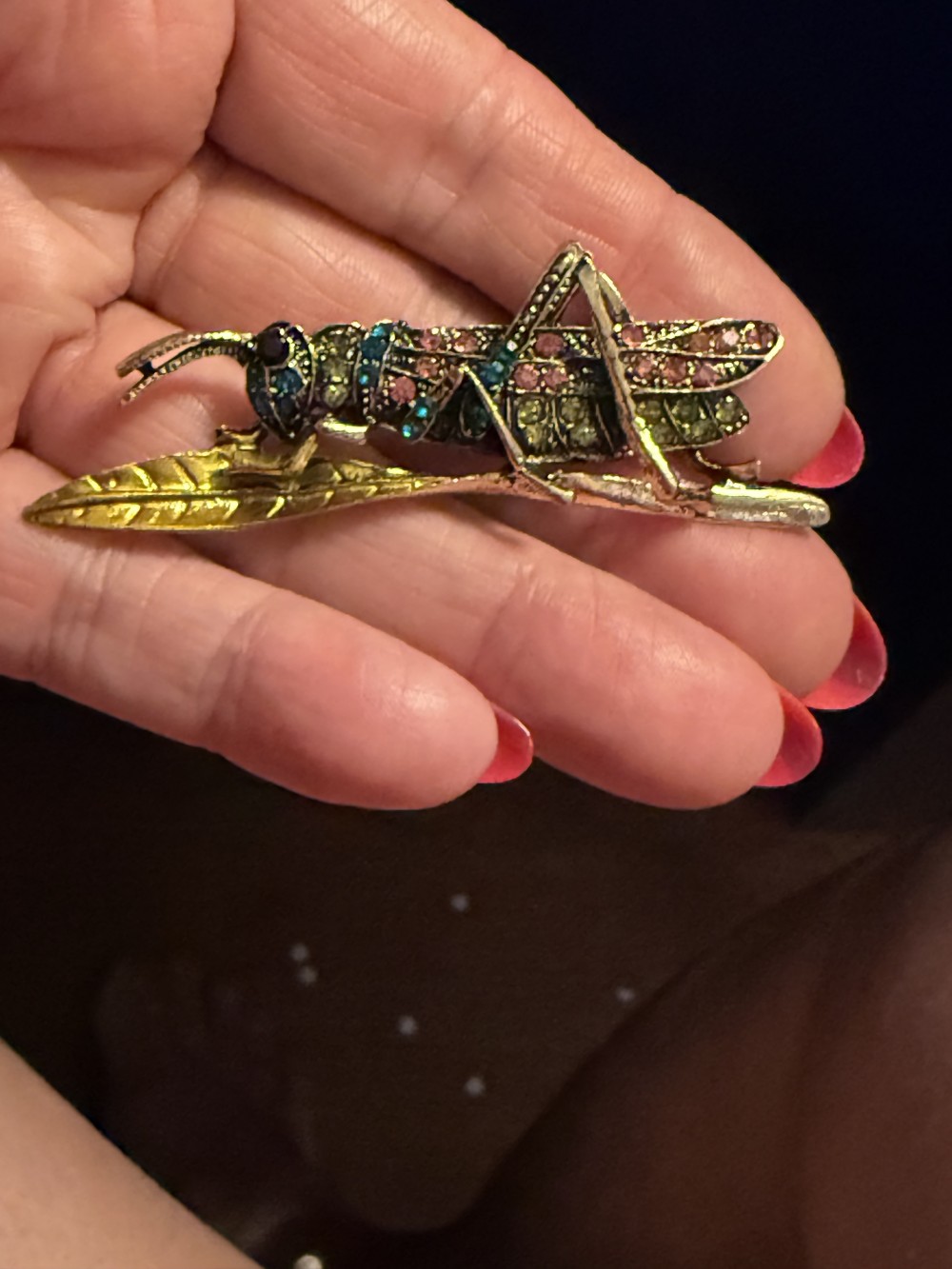 Brooch Pin - Grasshopper, Locust, Cricket