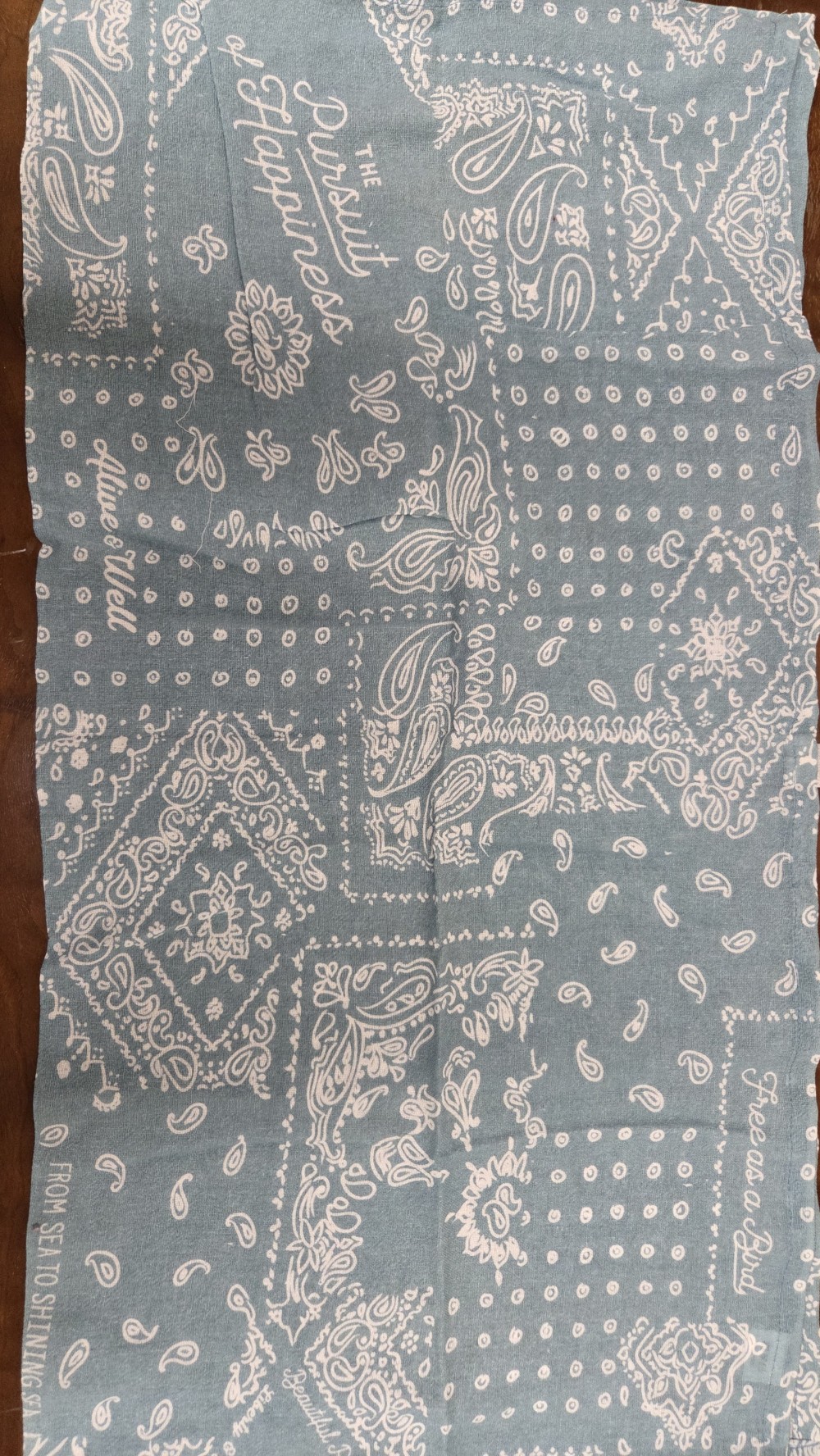 LN-1460a New aqua flour sack towel