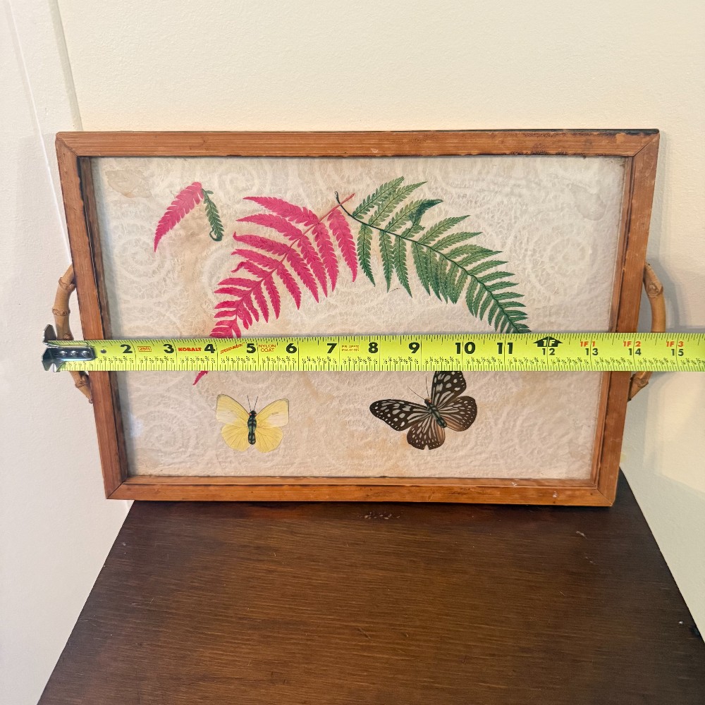 Butterfly and Fern Specimen Serving Tray with Bamboo Handles, 17