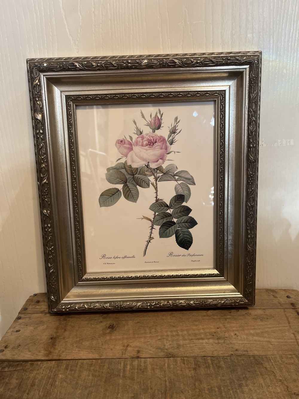 Vtg Pierre Redoute Rose print