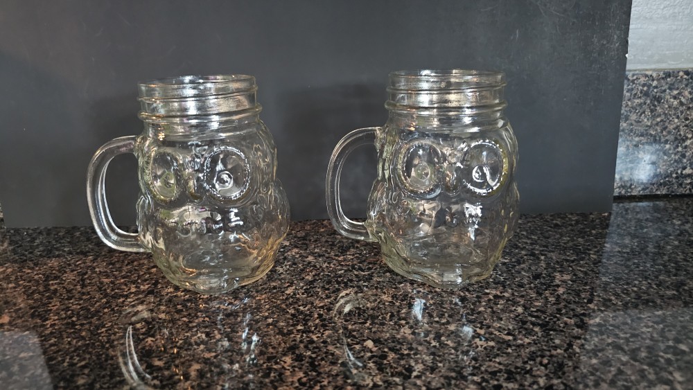 Set of 2 Owl mason jar cups