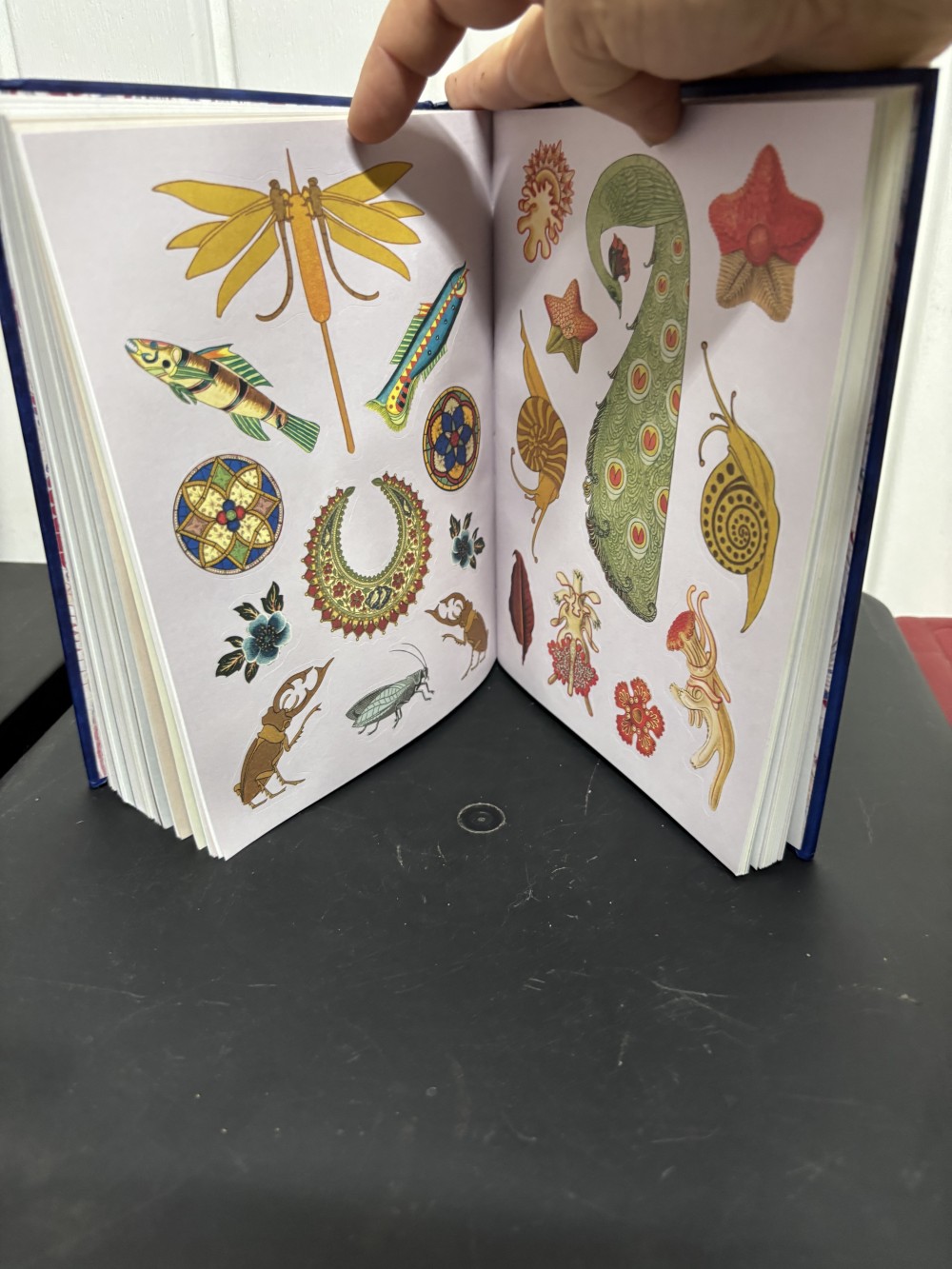 The Antiquarian Sticker Book – Over 1,000 Exquisite Victorian Stickers – Hardcover – Unused