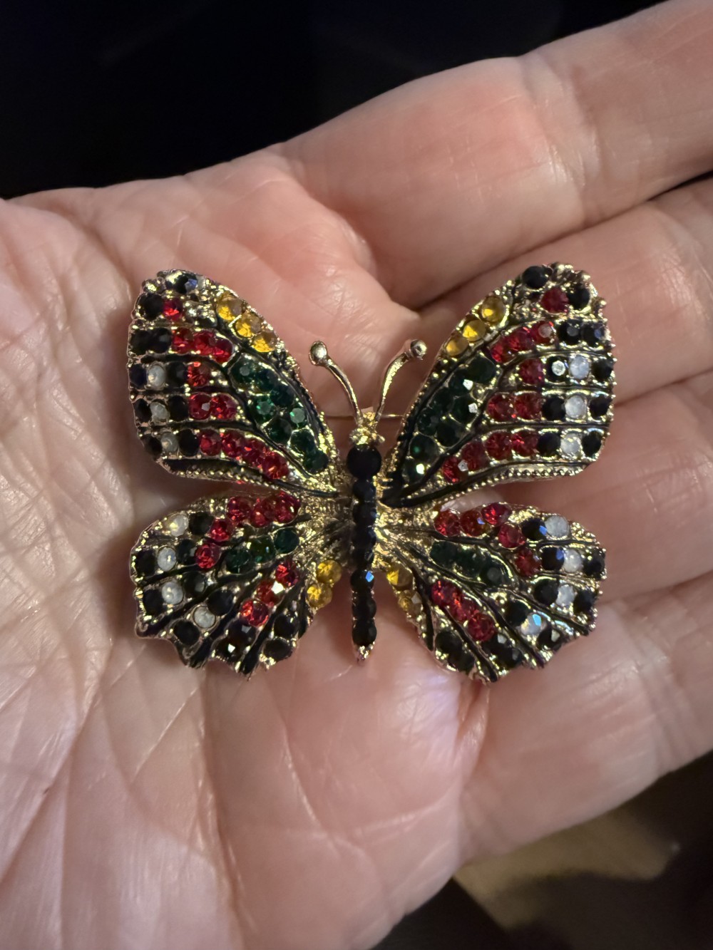 Brooch Pin - Butterfly Black Red Rhinestones