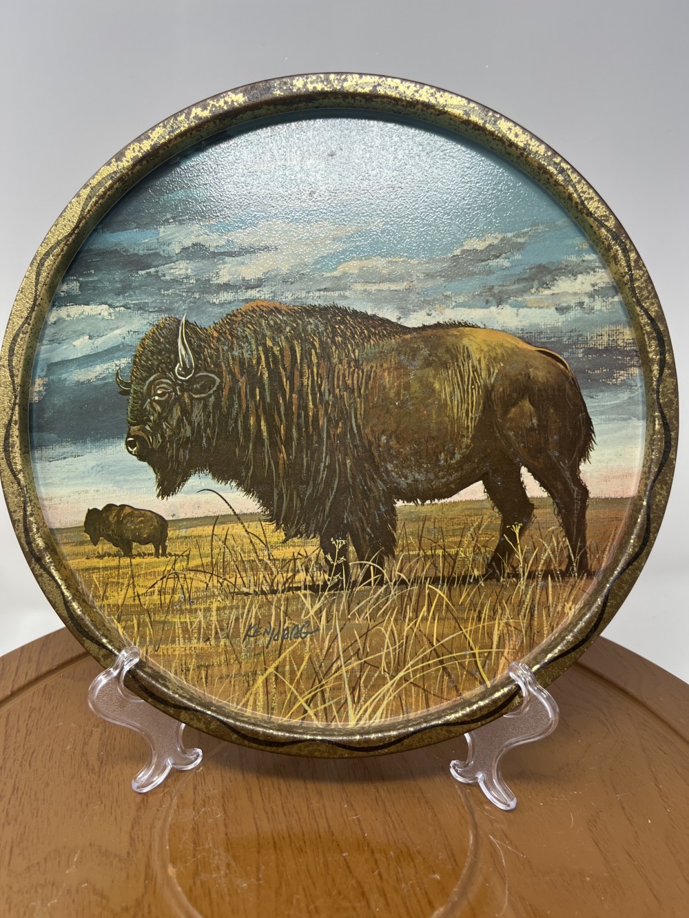 Ken Haag Buffalo Tin Tray