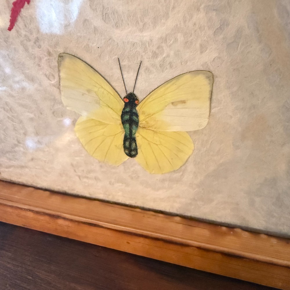 Butterfly and Fern Specimen Serving Tray with Bamboo Handles, 17