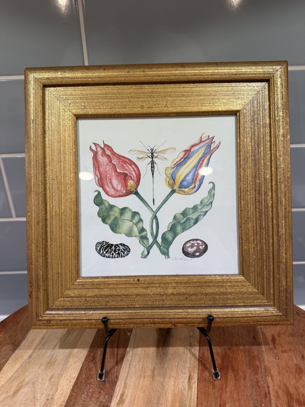 Vintage Framed Botanical Print