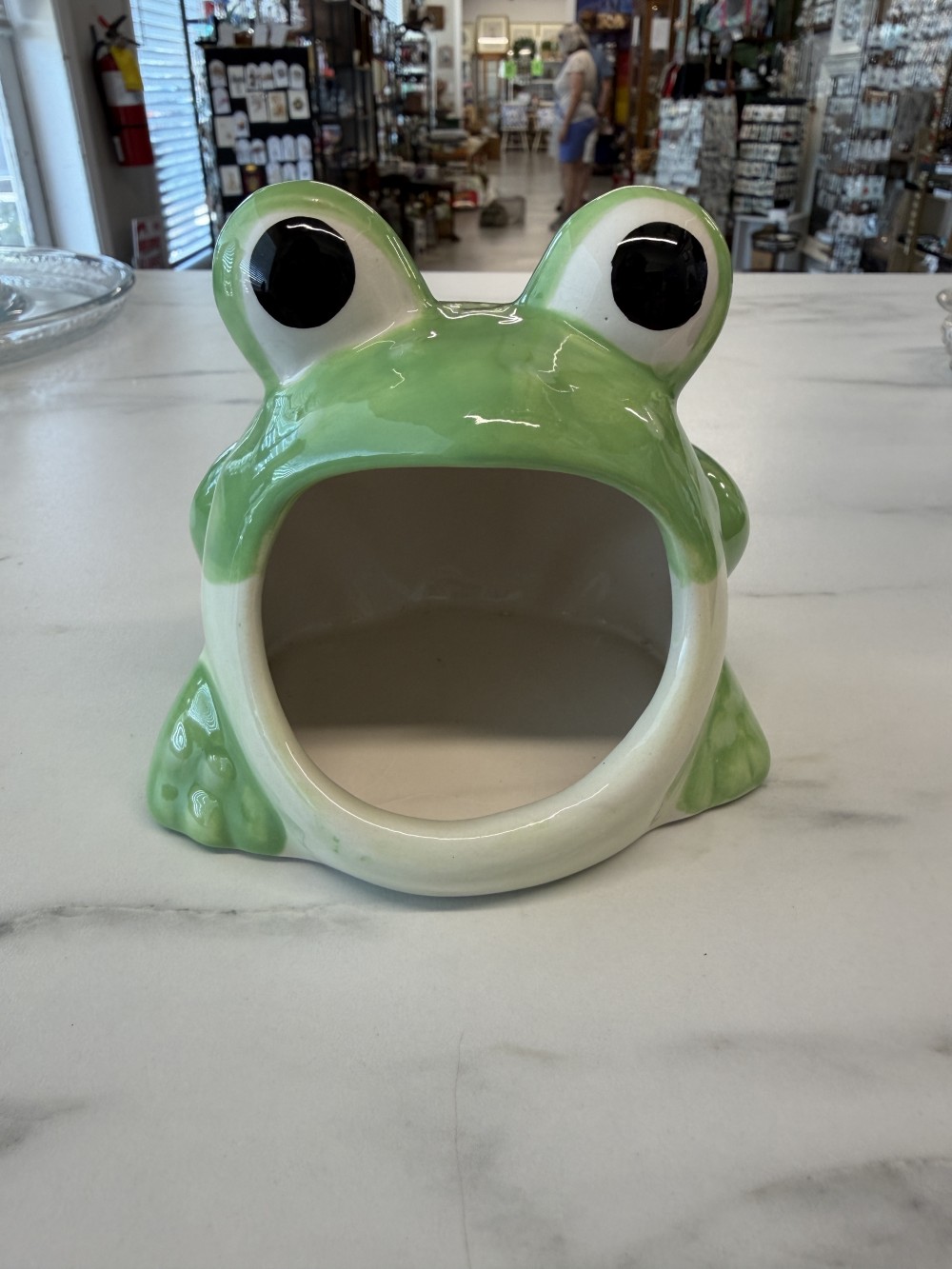 Ceramic Frog Sponge Holder