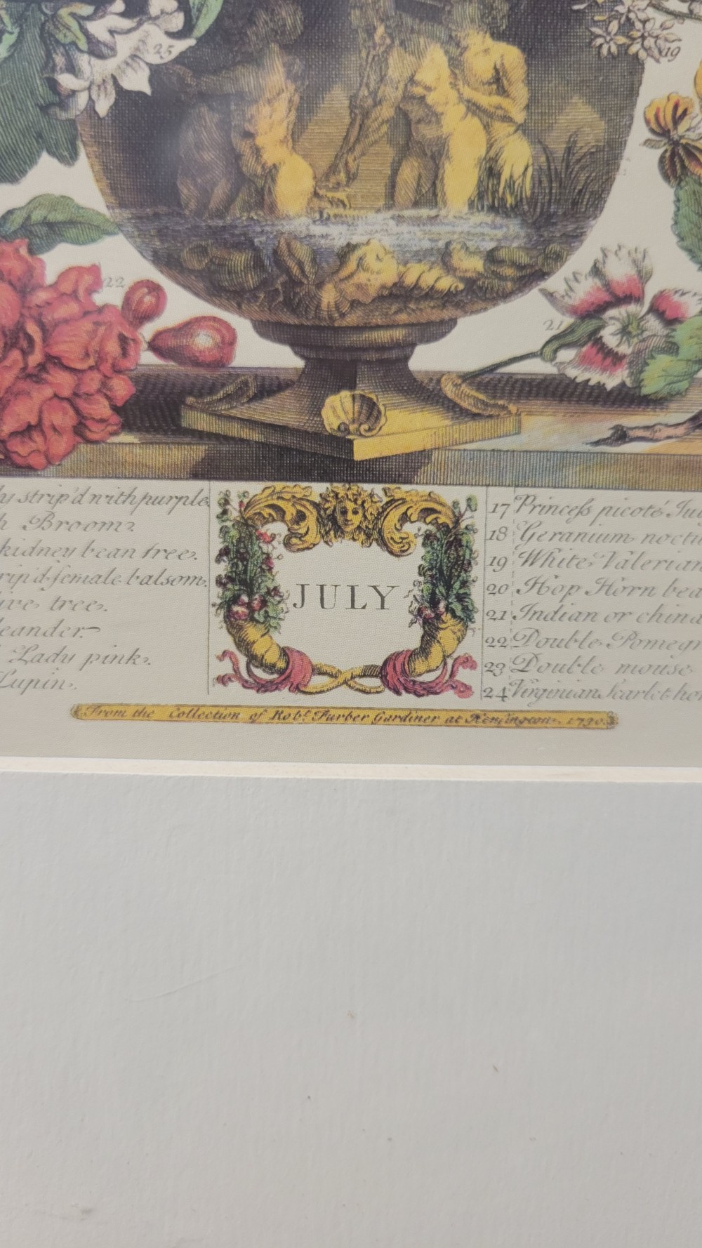 July - Framed Botanical Print