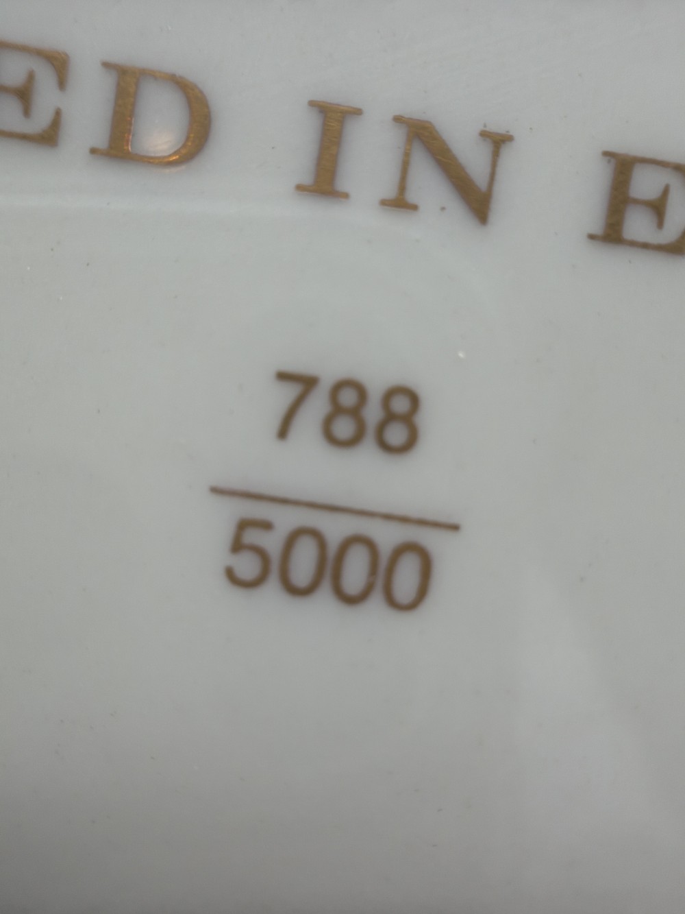 Frederic Remington Cavalry Officer Plate