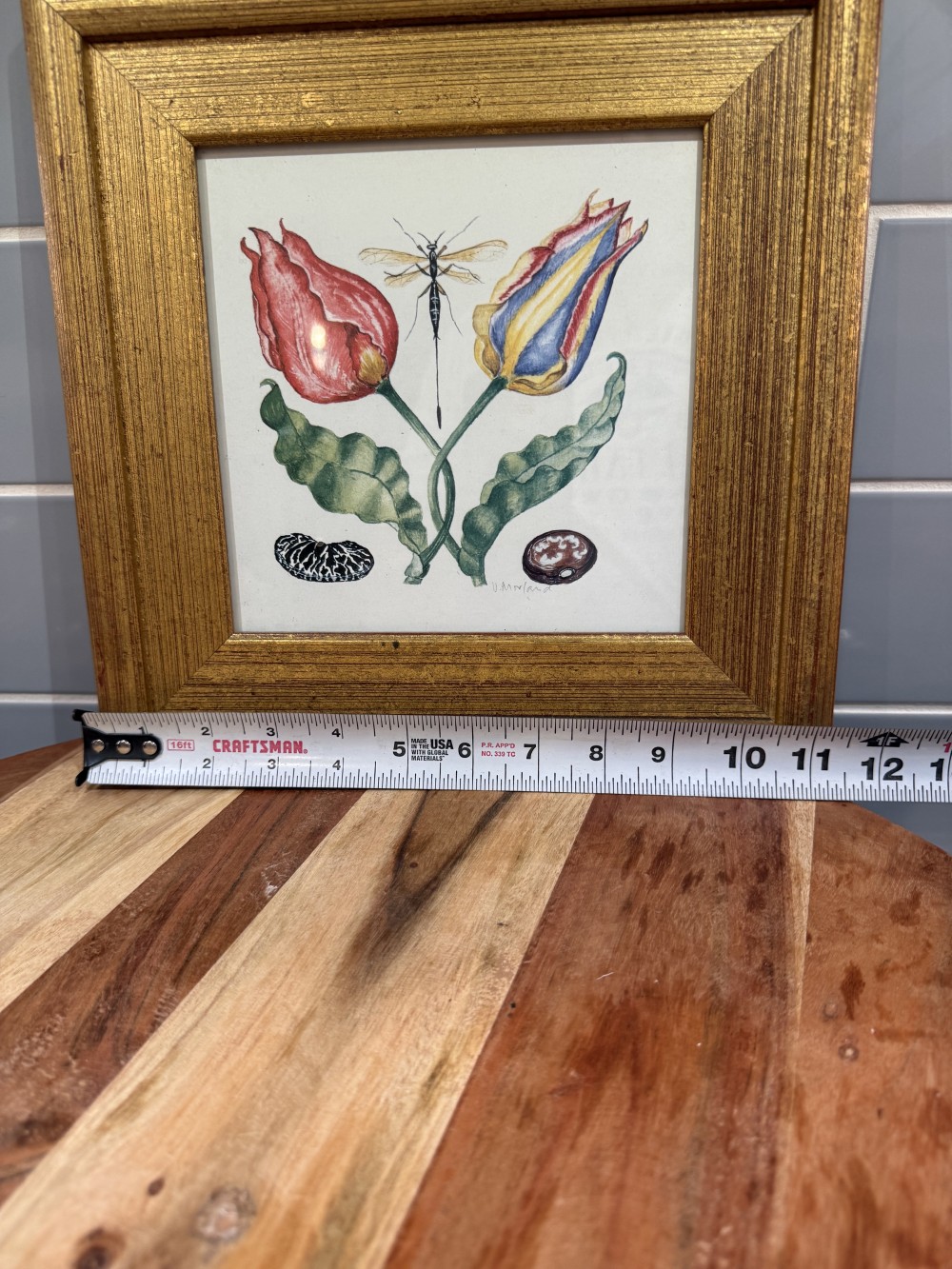 Vintage Framed Botanical Print