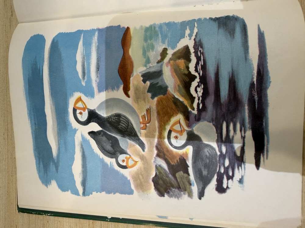 1946 Rosy Nose Childrens Book