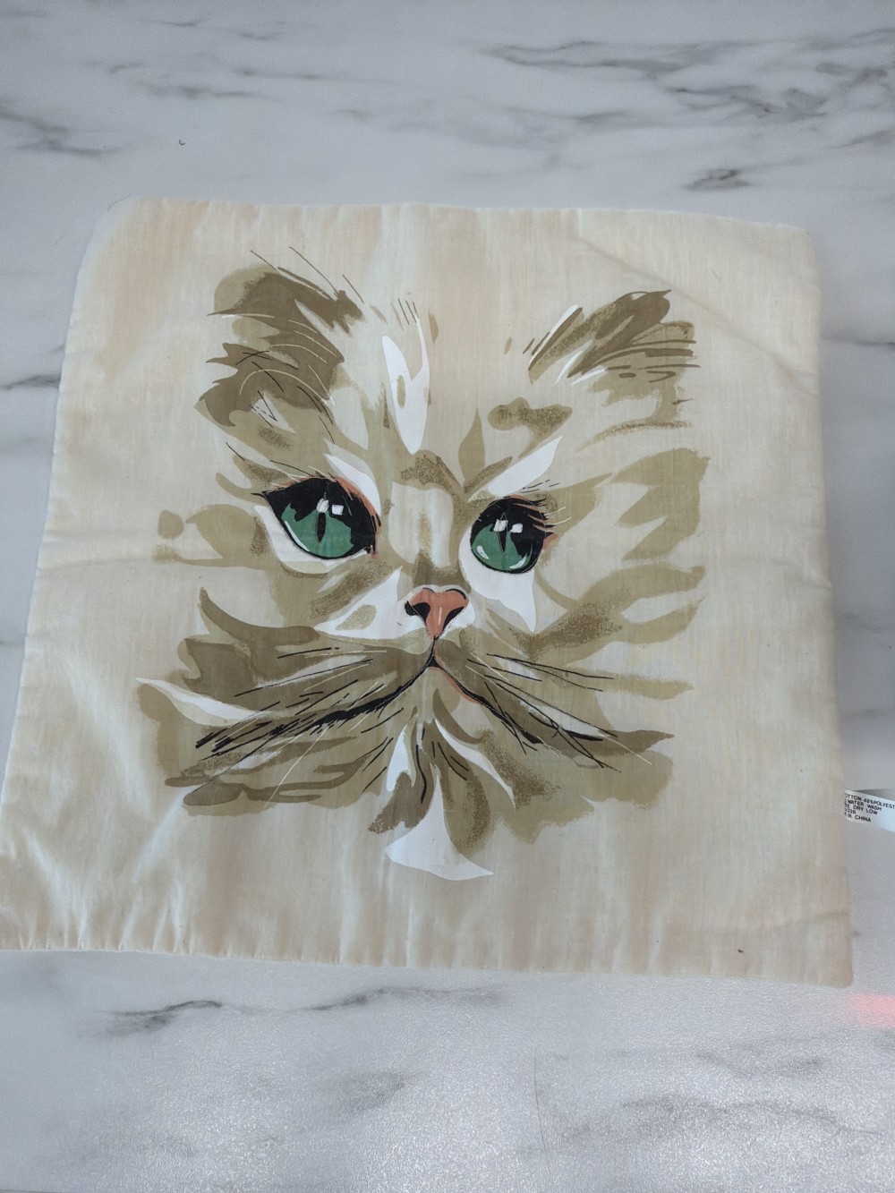 Cat pillow covers (set of two)