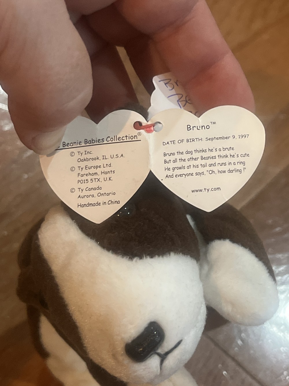Bruno Beanie Baby