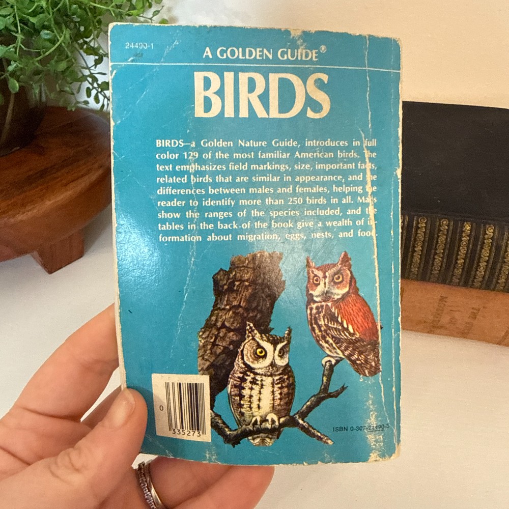 Golden Guide Birds – Vintage Pocket Guide