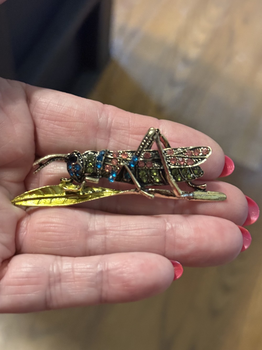 Brooch Pin - Grasshopper, Locust, Cricket