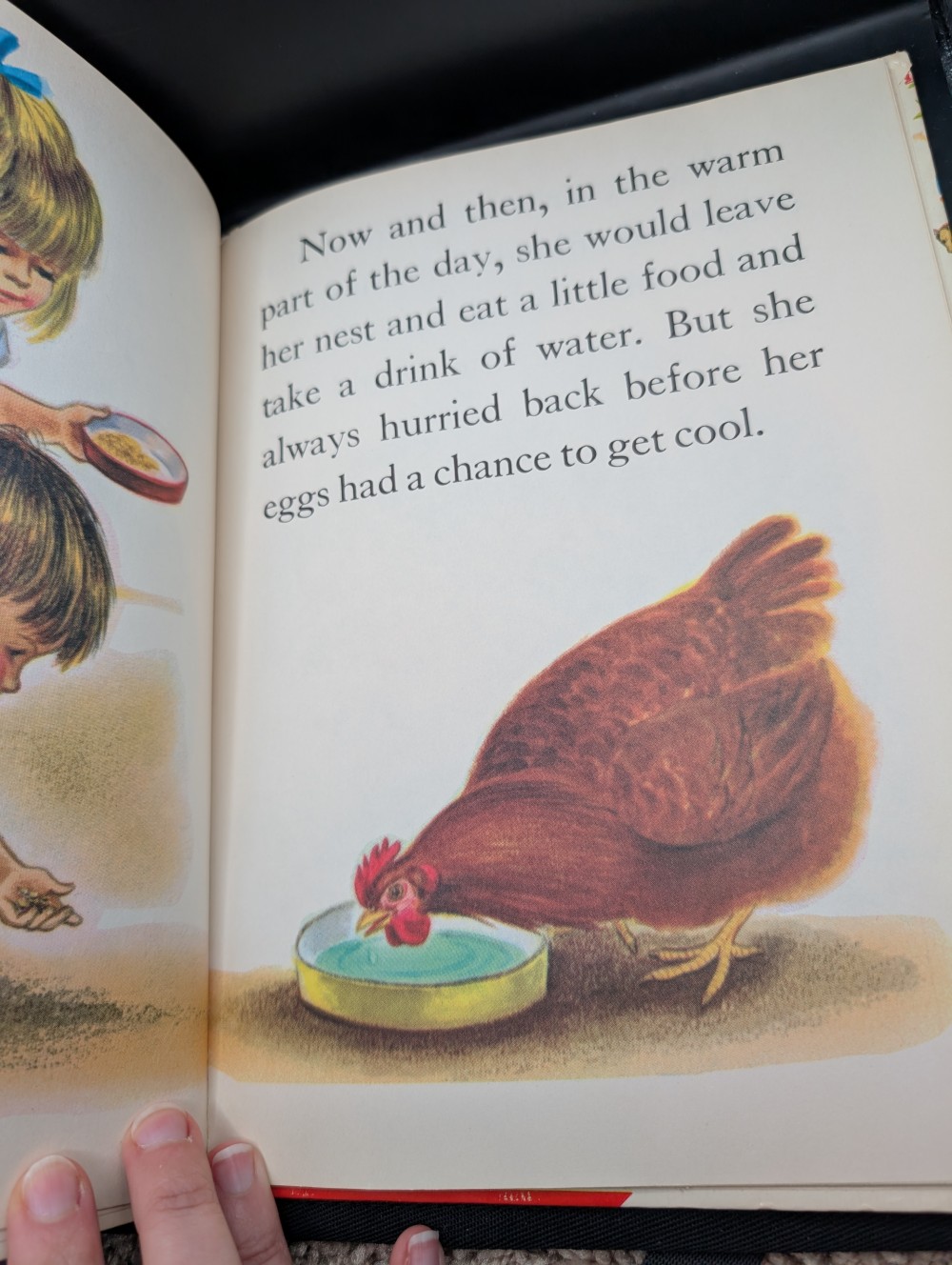 Vtg 1967 How Chicks Are Born hardcover book