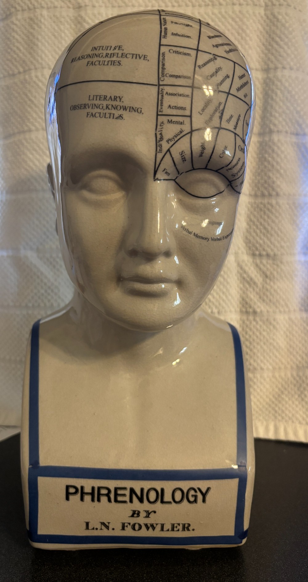 Ceramic Phrenology Head L.N. Fowler scientific bust