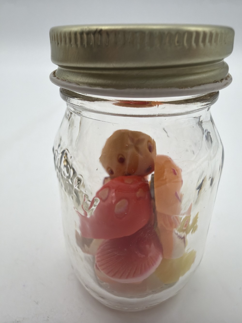 Set of 6 Mini Mushroom Magnets in Glass Jar