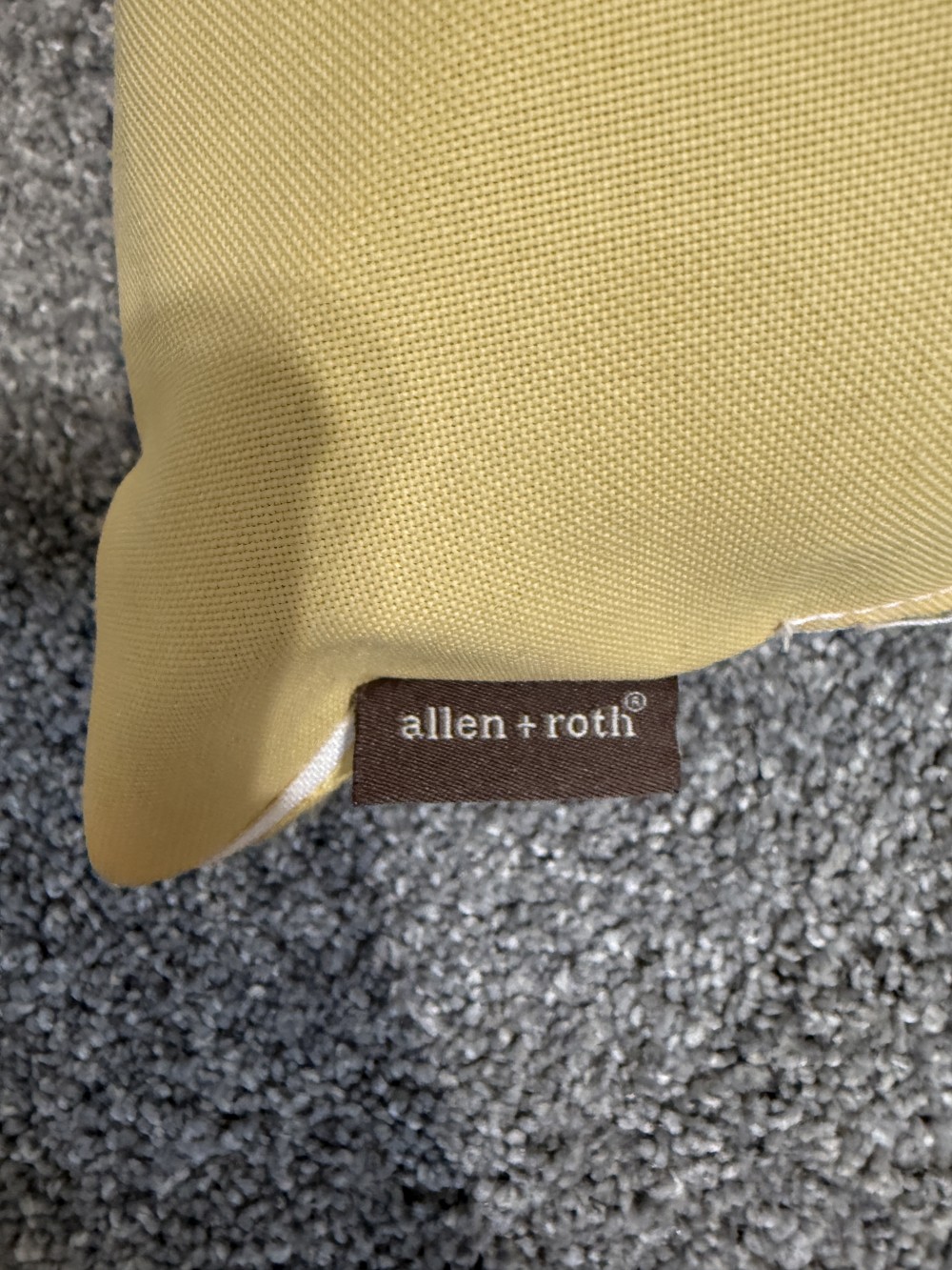 Allen & Roth throw pillow