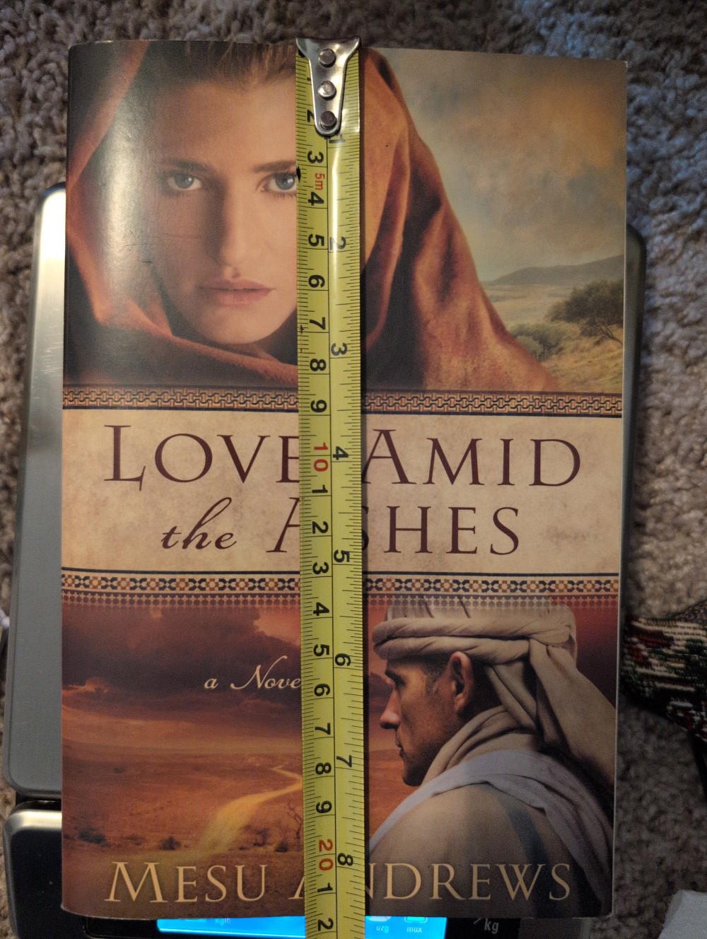 Love Amid the Ashes paperback book