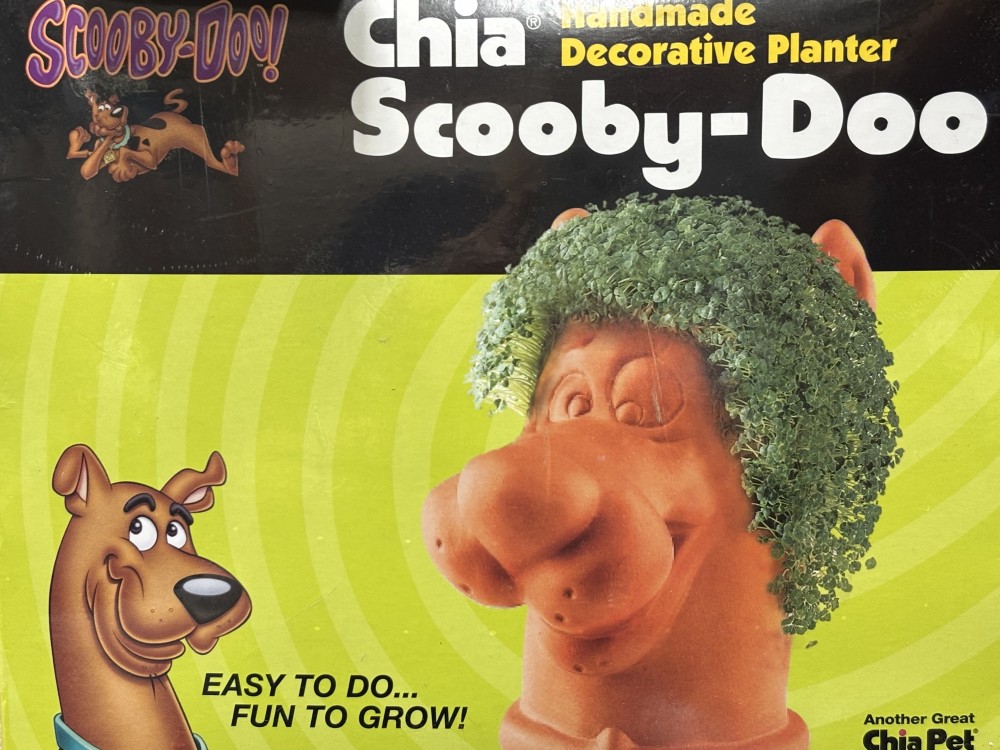 Scooby-Doo Chia Pet