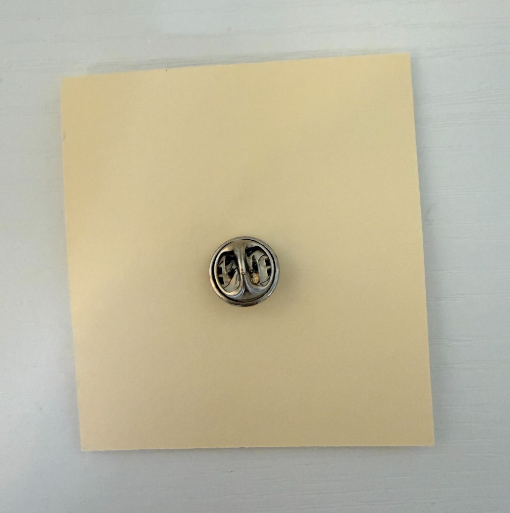 Horse Head Enamel pin