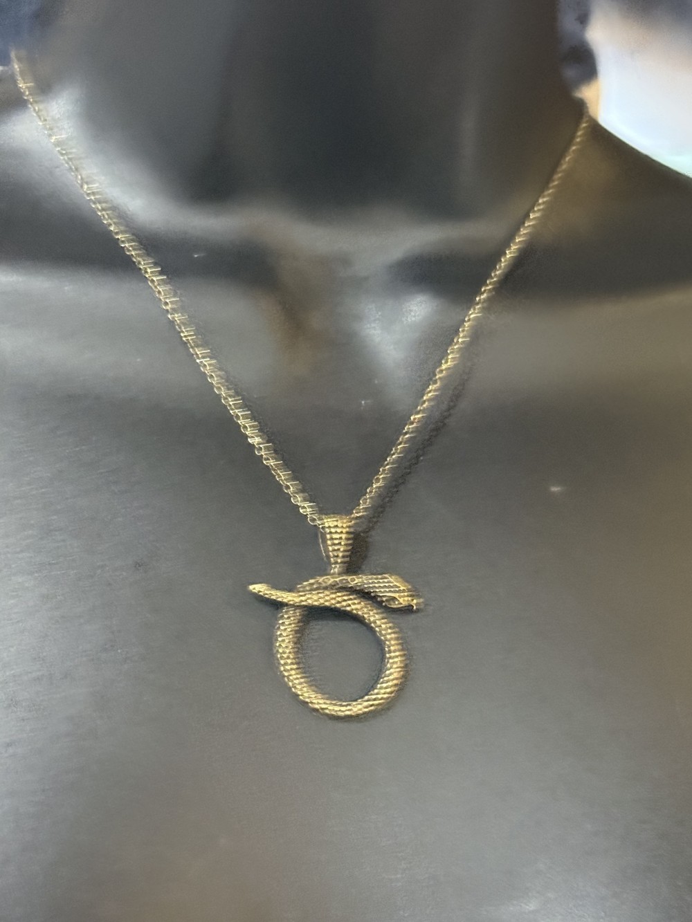 Pendant Necklace -  Snake Looped in Bronze