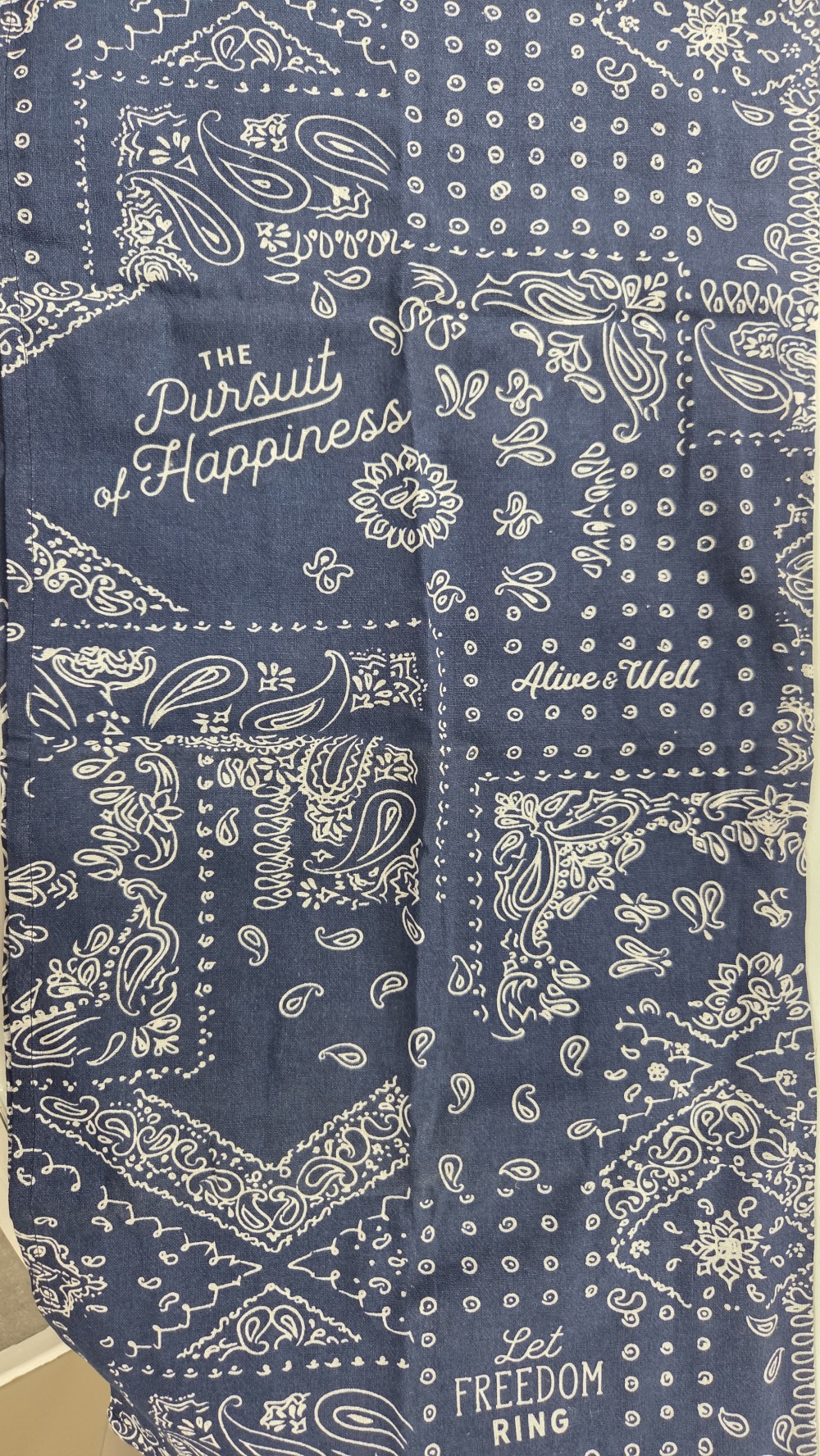 LN-1460b new flour sack blue towel
