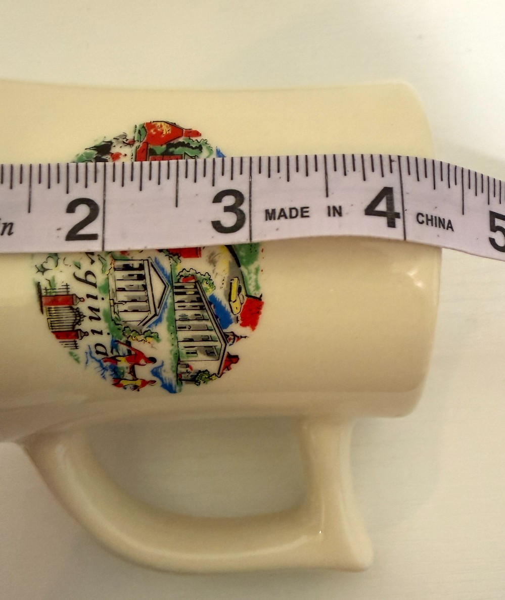 Souvenir Virginia state mug