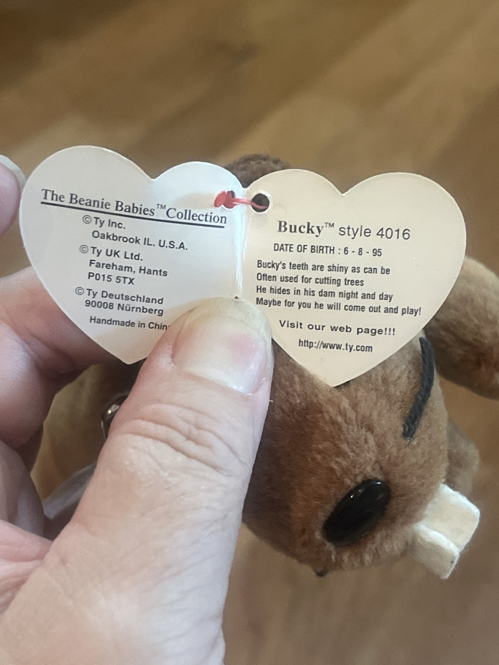 Bucky Beanie Baby