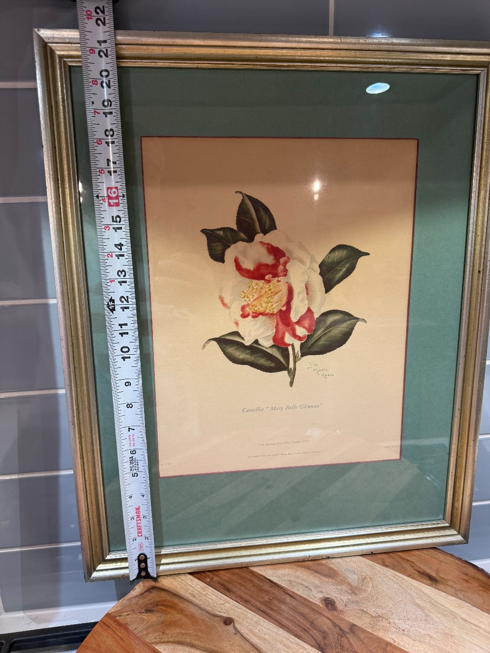 Vtg. Framed Lila Moore Keen Camellia Botanical Print