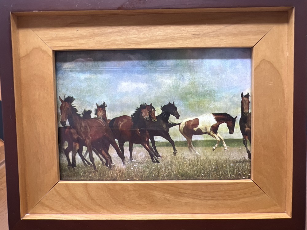 Framed Wild Horses Print