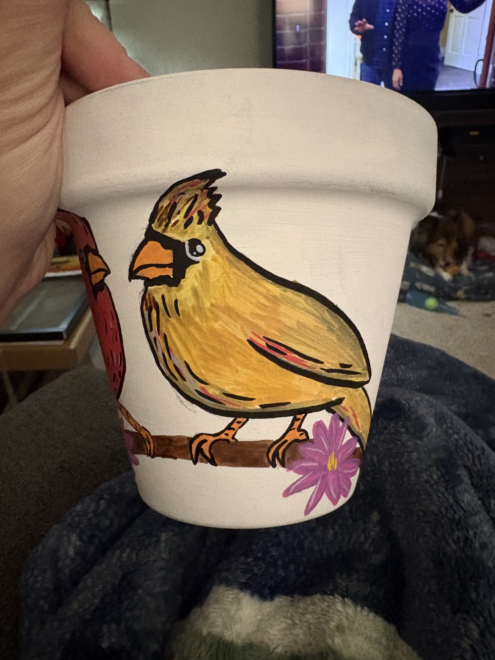 Cardinal pot with plant