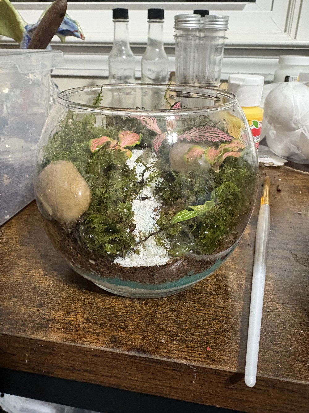 moss bowl
