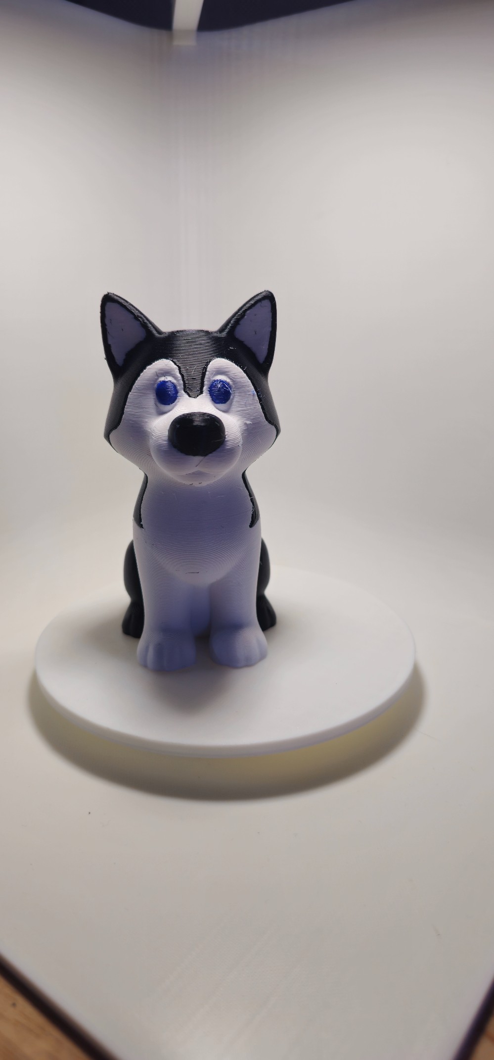 40mm sitting Husky
