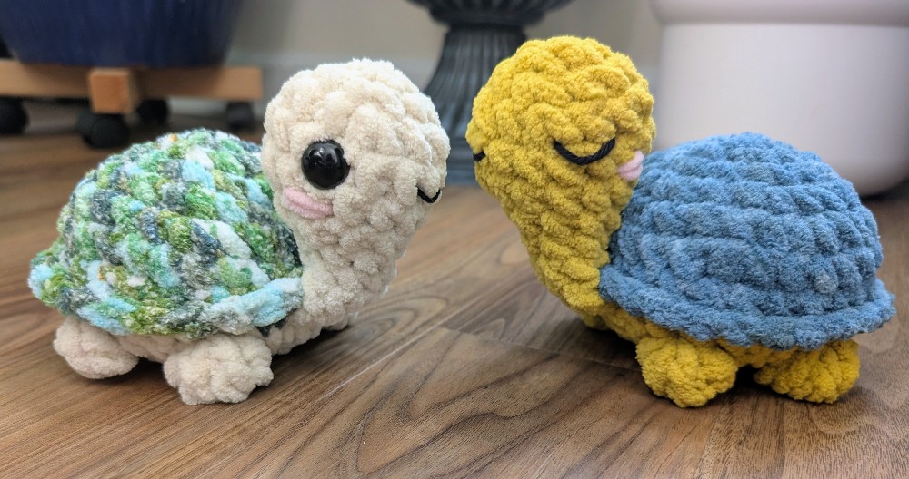 Tofu the Turtle