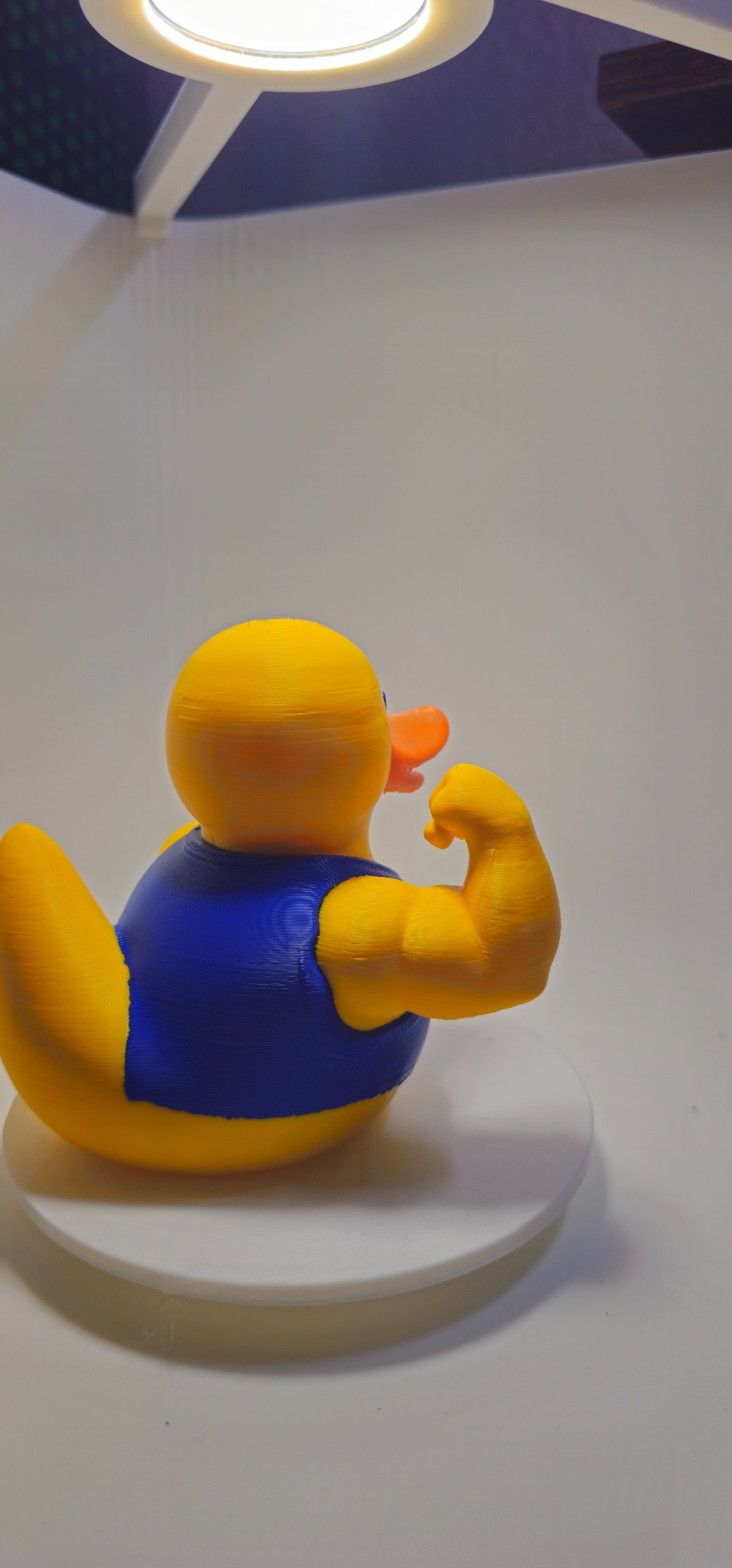 75mm Muscle Duck