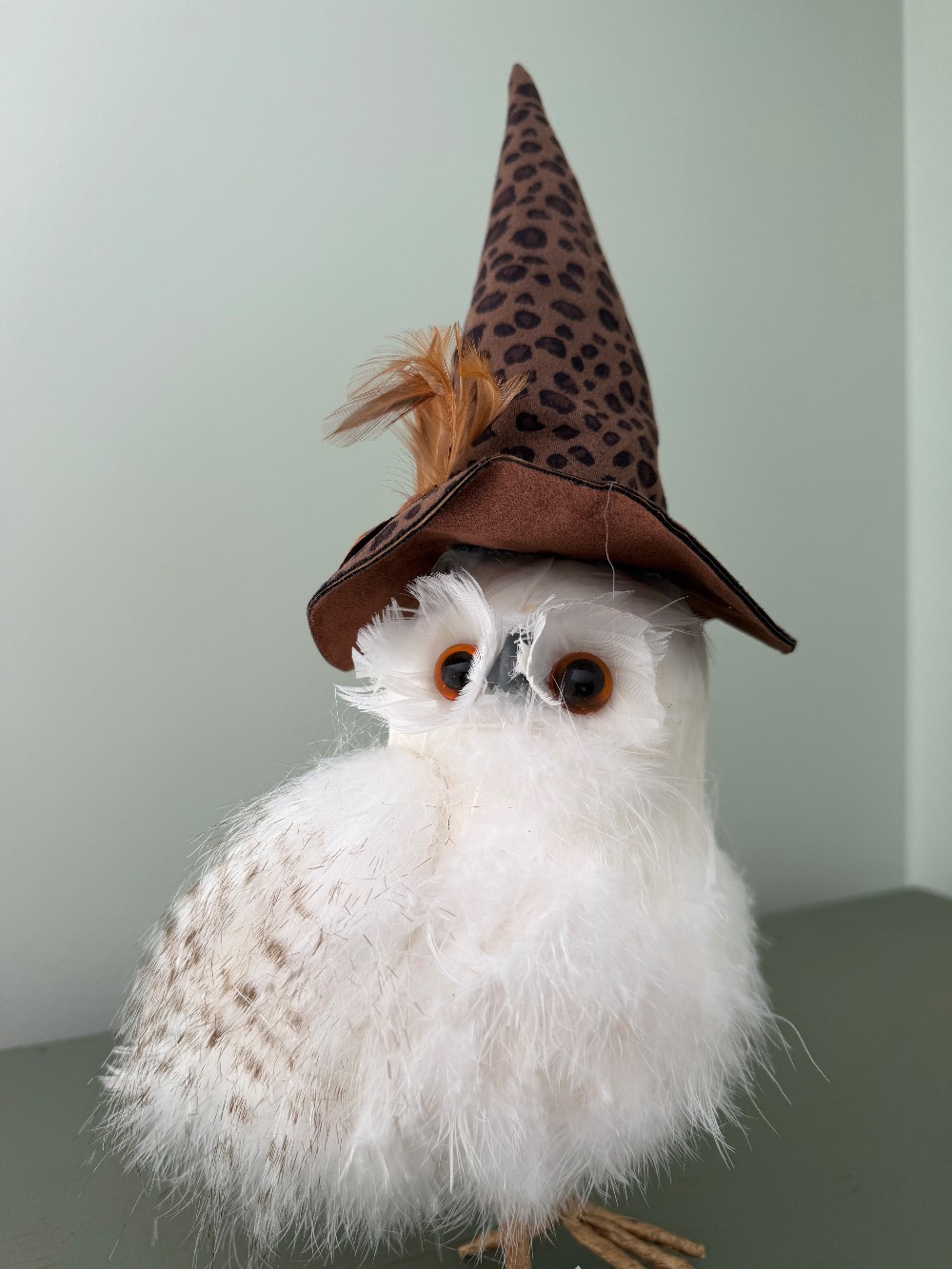Owls