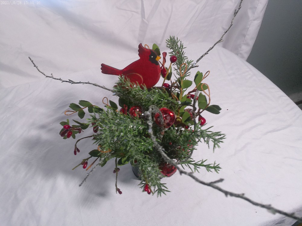 Christmas Cardinal bucket with greenery