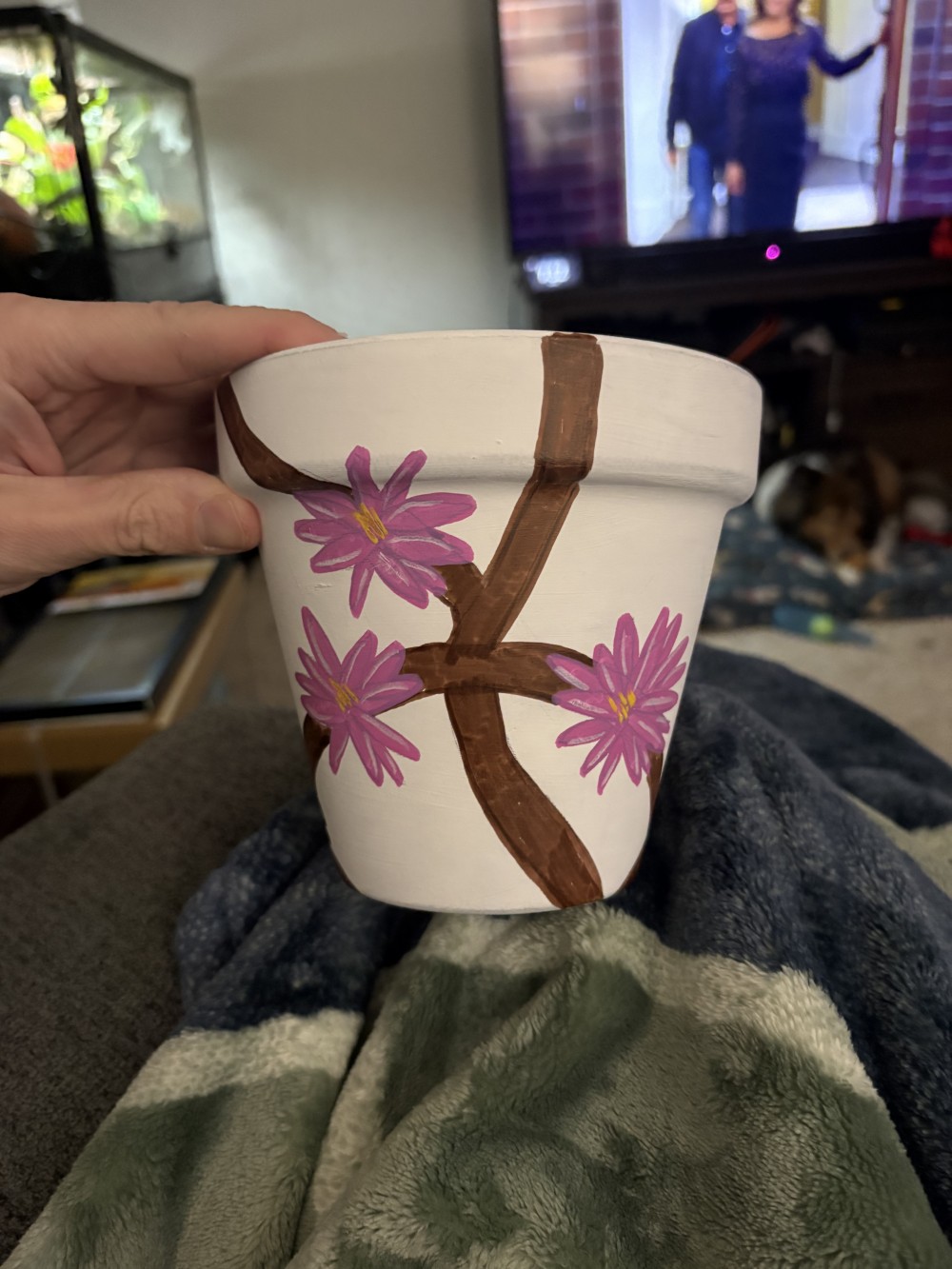 Cardinal pot with plant