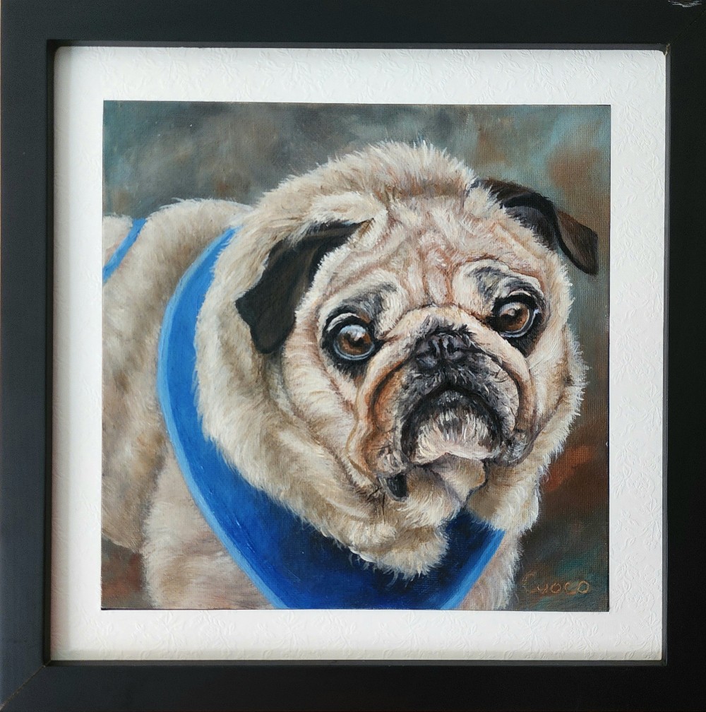 Commissioned Pet Portraits - Click on Dog for more portraits