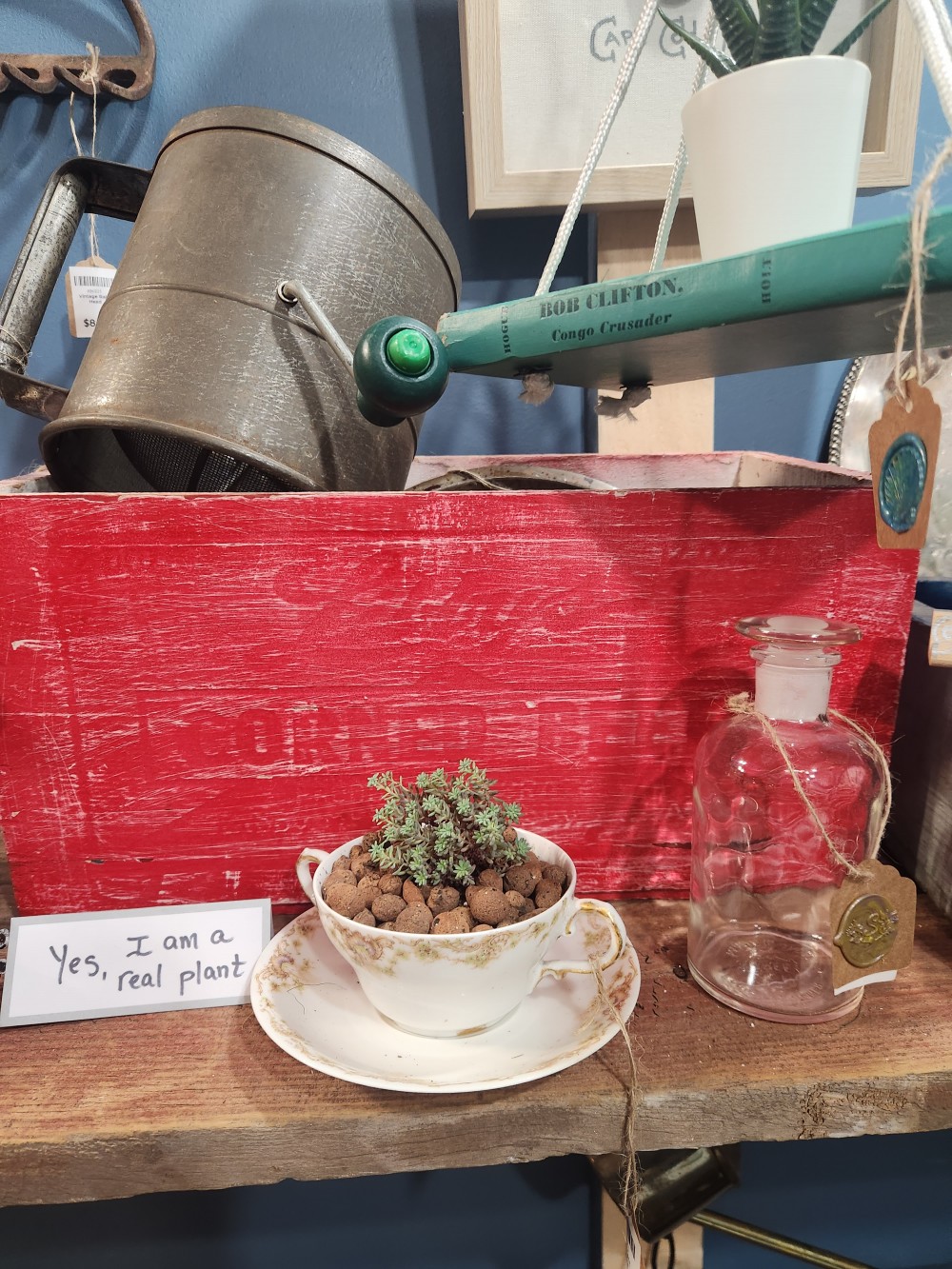 Vintage Candy Apple Box