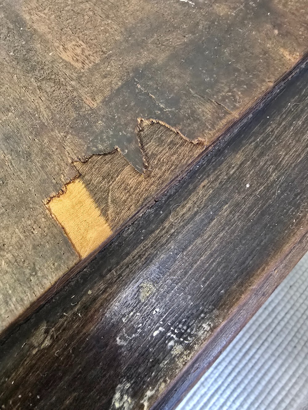 Antique 5 tube Radio