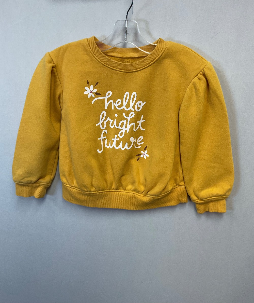 jumping bean sweater 3t