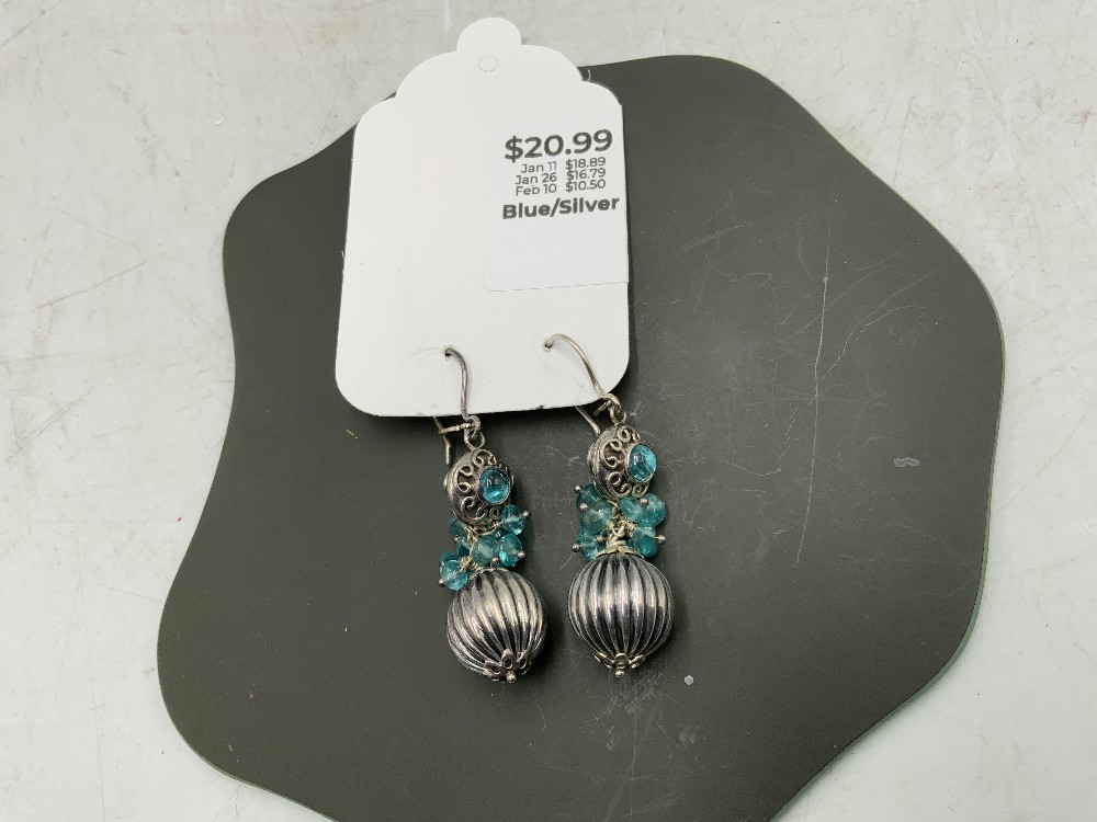 Blue/Silver Dangle Earrings