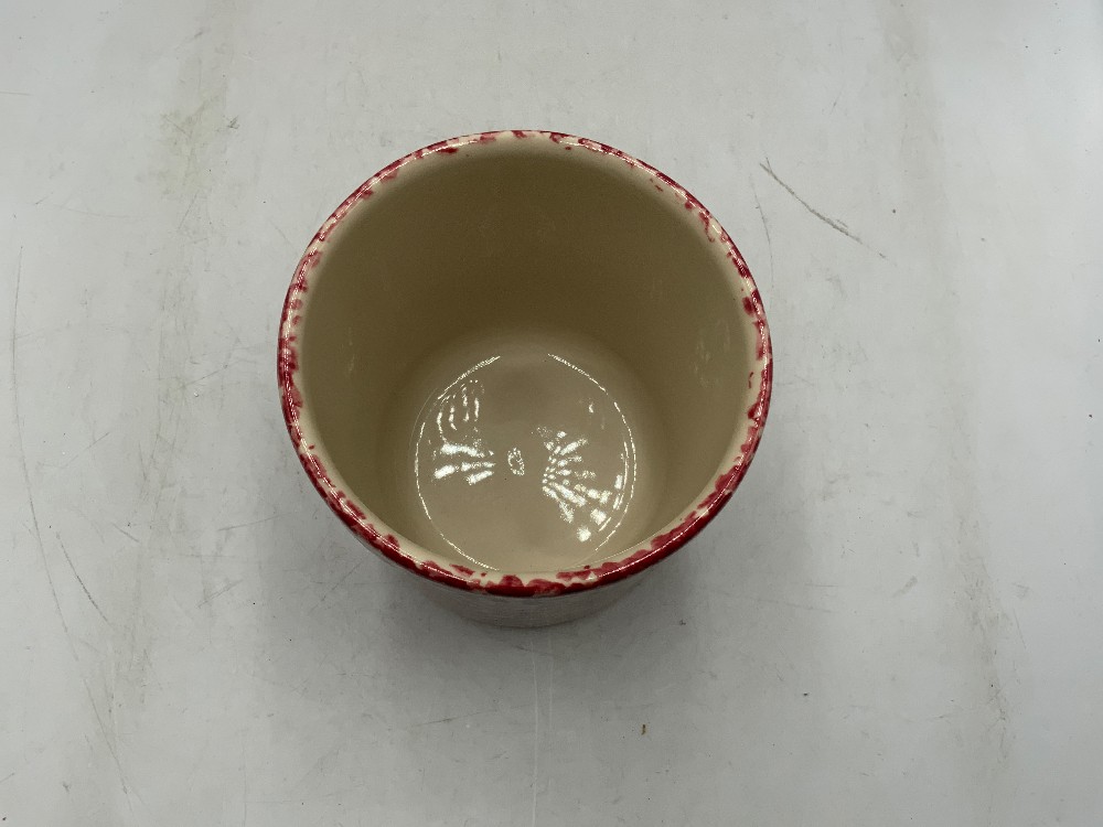 Small Gerald Hen Spongeware Canister