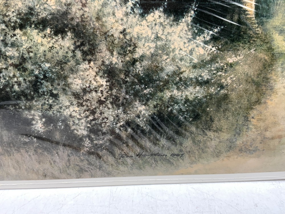 Ben Hampton Backwood Redbuds Signed