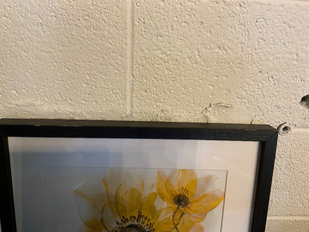 Framed Art